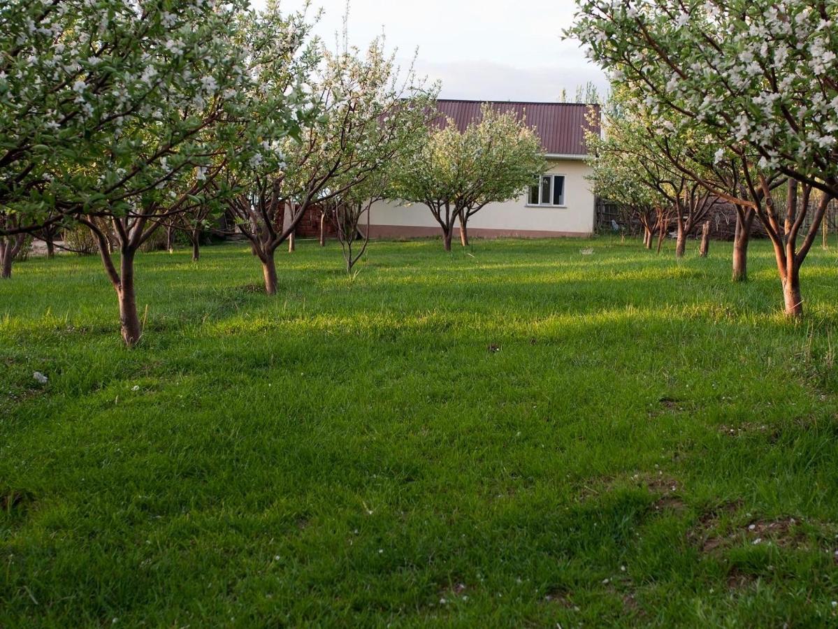 Barskoon Guest House Exterior foto
